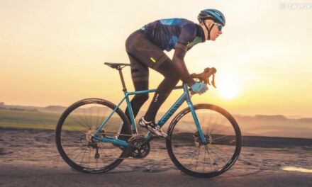 TOP TEN BIKE BRANDS ON THE MARKET