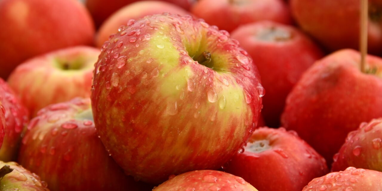 APPLES: THE FORGOTTEN SUPERFOOD