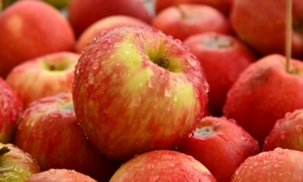 APPLES: THE FORGOTTEN SUPERFOOD